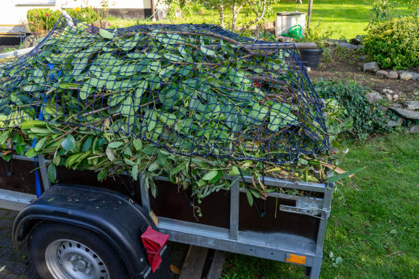 Best Shed Removal  in Redkey, IN